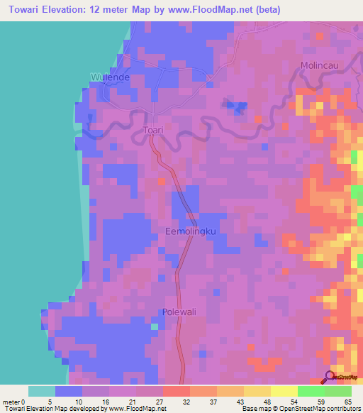 Towari,Indonesia Elevation Map