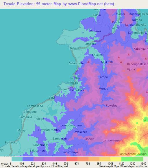 Tosale,Indonesia Elevation Map