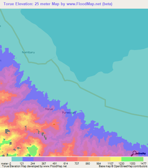 Torue,Indonesia Elevation Map