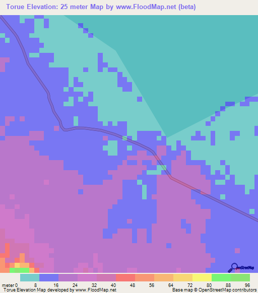 Torue,Indonesia Elevation Map