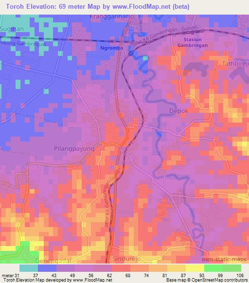 Toroh,Indonesia Elevation Map