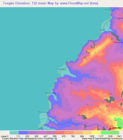 Tongku,Indonesia Elevation Map