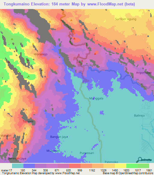 Tongkumaino,Indonesia Elevation Map