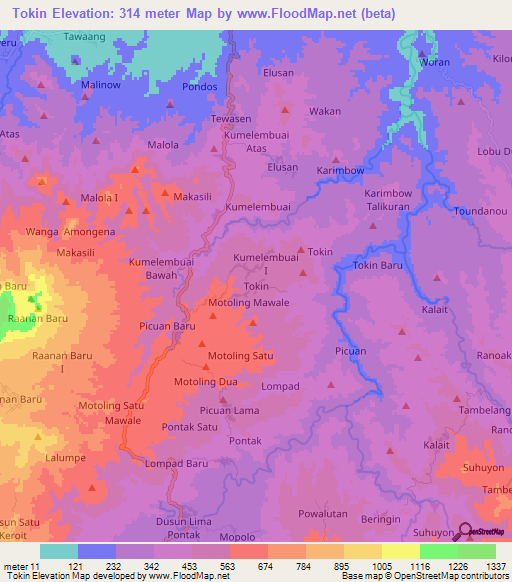 Tokin,Indonesia Elevation Map