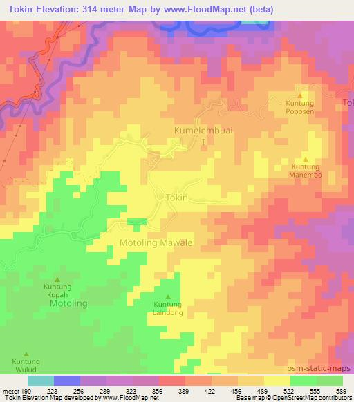 Tokin,Indonesia Elevation Map