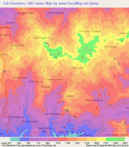 Tok,Indonesia Elevation Map