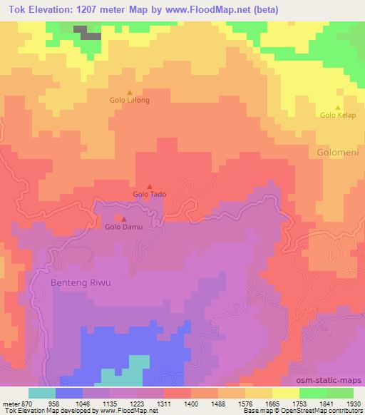 Tok,Indonesia Elevation Map