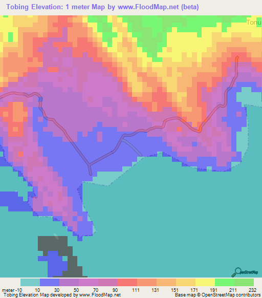 Tobing,Indonesia Elevation Map