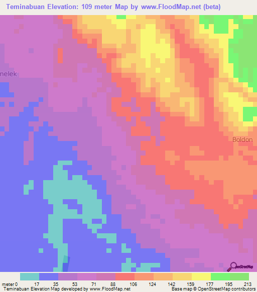 Teminabuan,Indonesia Elevation Map