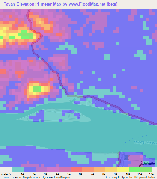 Tayan,Indonesia Elevation Map