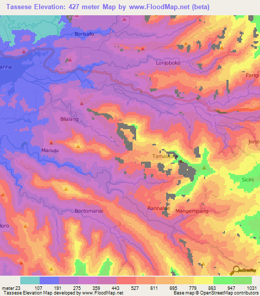 Tassese,Indonesia Elevation Map