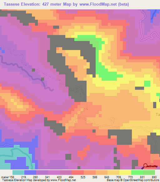 Tassese,Indonesia Elevation Map