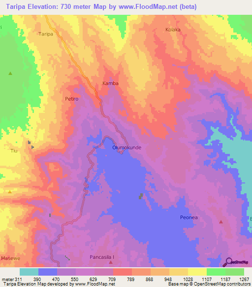 Taripa,Indonesia Elevation Map