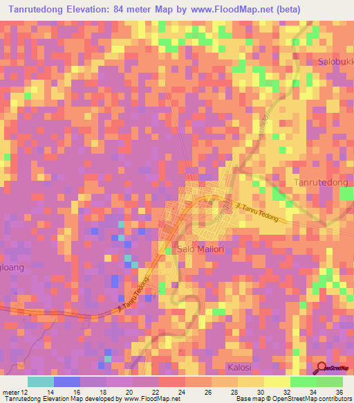 Tanrutedong,Indonesia Elevation Map