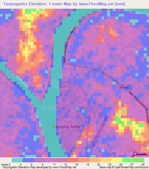 Tanjungselor,Indonesia Elevation Map