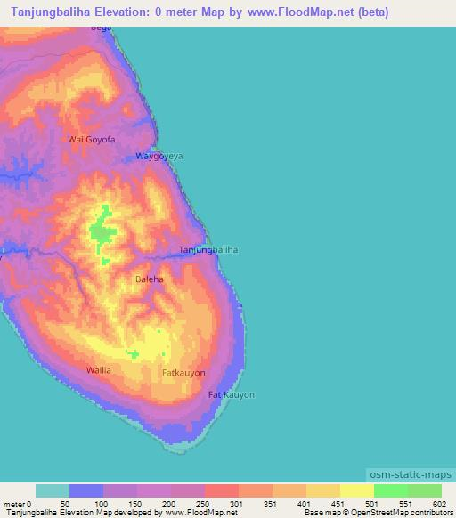 Tanjungbaliha,Indonesia Elevation Map