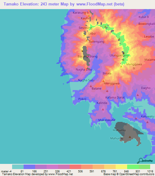 Tamako,Indonesia Elevation Map