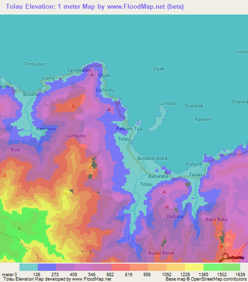 Tolau,Indonesia Elevation Map