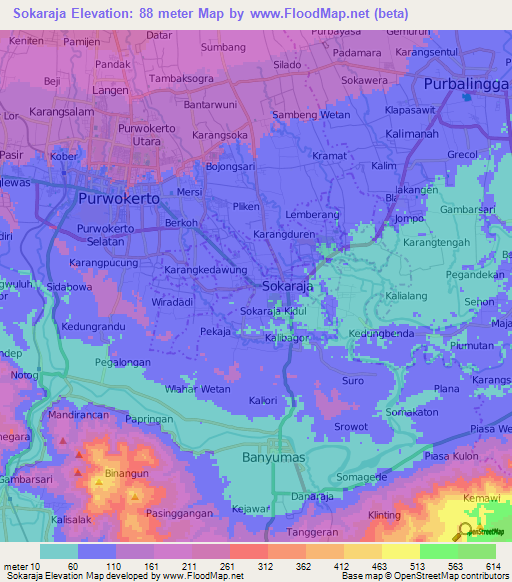 Sokaraja,Indonesia Elevation Map