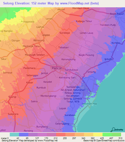 Selong,Indonesia Elevation Map