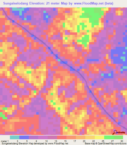 Sungaiselodang,Indonesia Elevation Map