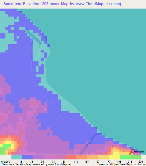 Saukorem,Indonesia Elevation Map