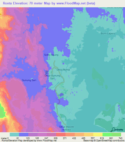 Ronta,Indonesia Elevation Map