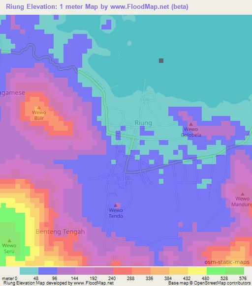 Riung,Indonesia Elevation Map