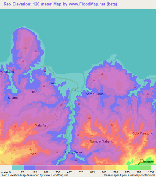 Reo,Indonesia Elevation Map