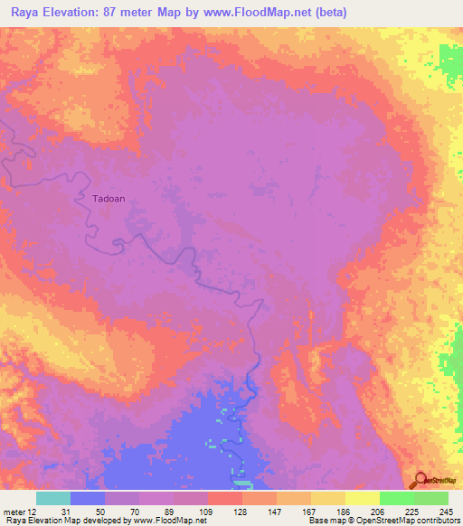 Raya,Indonesia Elevation Map