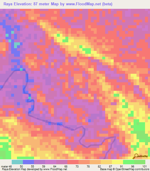 Raya,Indonesia Elevation Map