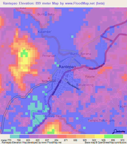 Rantepao,Indonesia Elevation Map