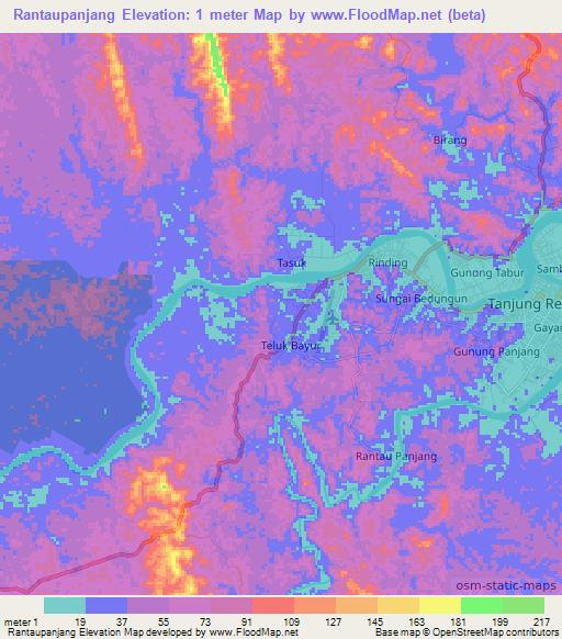 Rantaupanjang,Indonesia Elevation Map