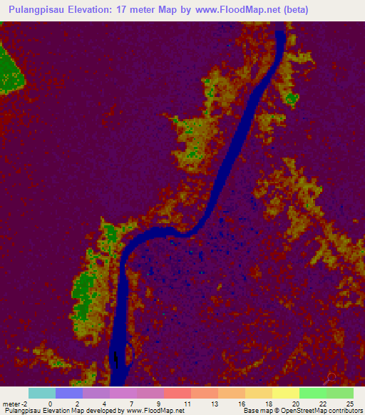 Pulangpisau,Indonesia Elevation Map