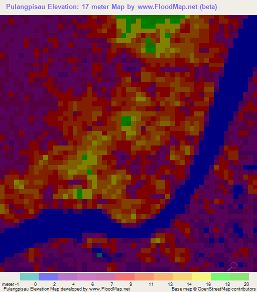 Pulangpisau,Indonesia Elevation Map