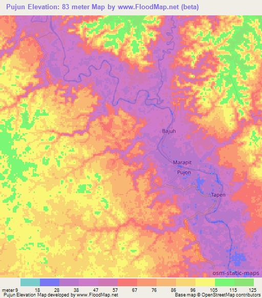 Pujun,Indonesia Elevation Map