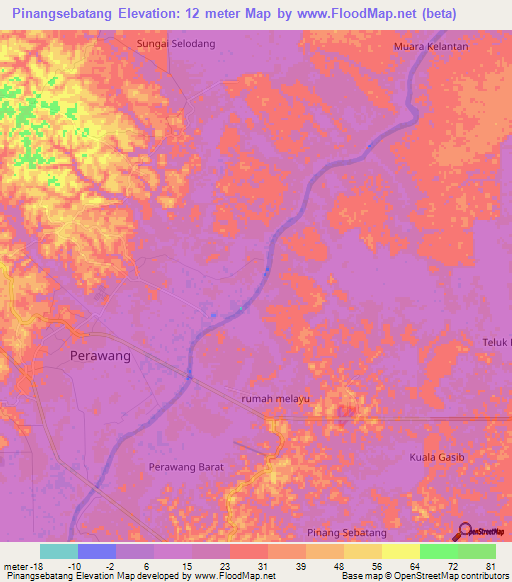 Pinangsebatang,Indonesia Elevation Map