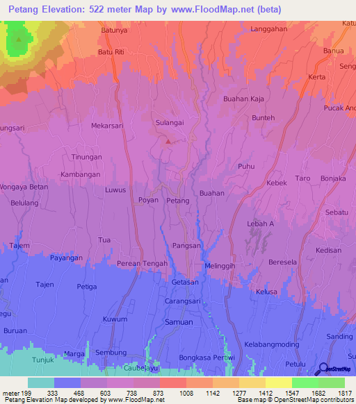 Petang,Indonesia Elevation Map