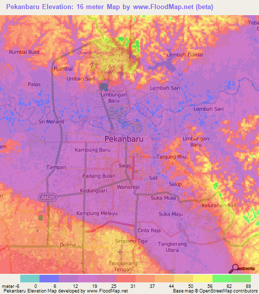 Pekanbaru,Indonesia Elevation Map