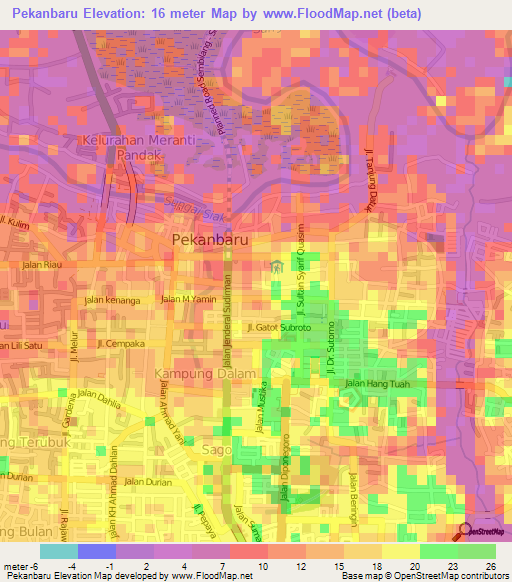 Pekanbaru,Indonesia Elevation Map