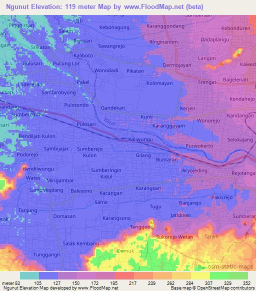 Ngunut,Indonesia Elevation Map