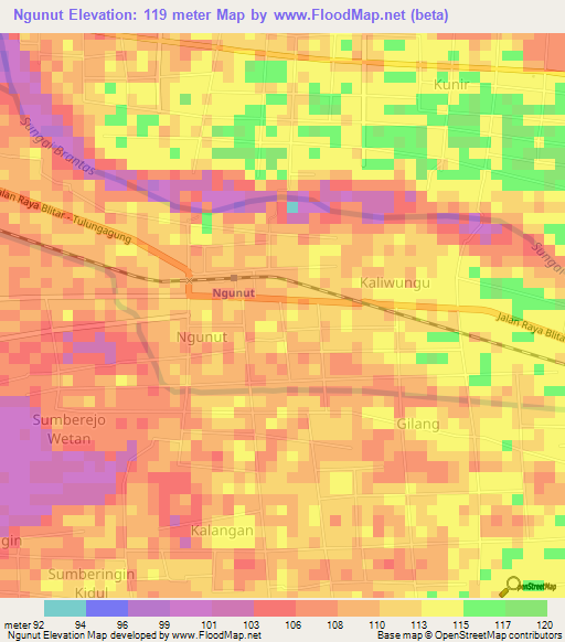 Ngunut,Indonesia Elevation Map