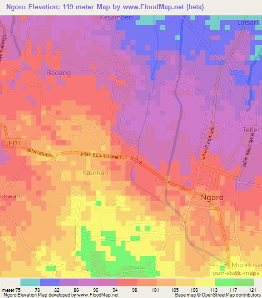 Ngoro,Indonesia Elevation Map