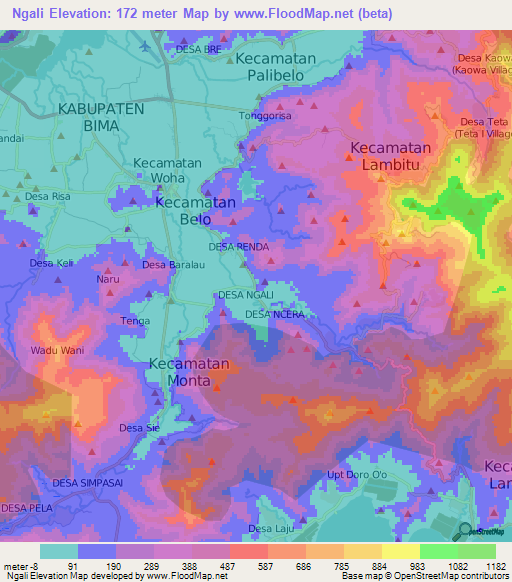 Ngali,Indonesia Elevation Map