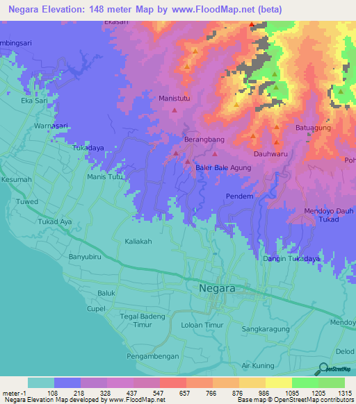 Negara,Indonesia Elevation Map