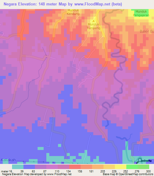 Negara,Indonesia Elevation Map