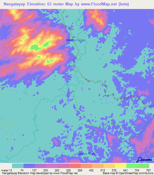 Nangatayap,Indonesia Elevation Map