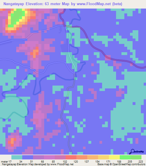 Nangatayap,Indonesia Elevation Map