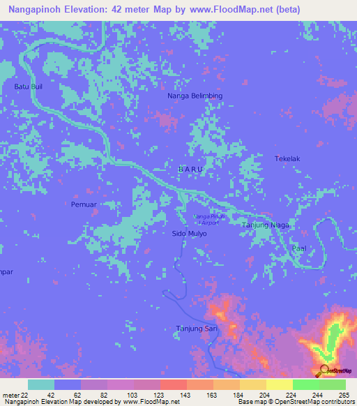 Nangapinoh,Indonesia Elevation Map