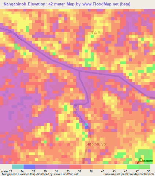 Nangapinoh,Indonesia Elevation Map